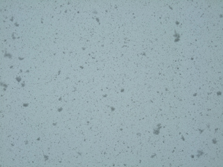 '13 Apr. yuki 005.jpg