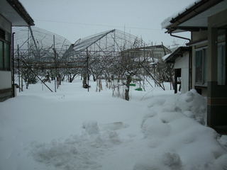 2014jan.sagae 006.jpg