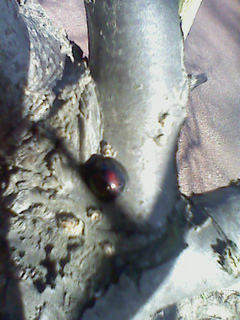 K0020003.jpg