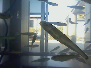 K0020008.jpg