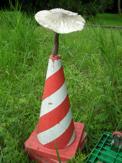 hennamono 001.jpg