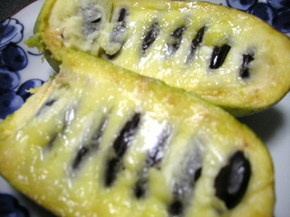 pawpaw 014_1.jpg